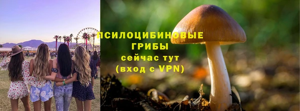 PSILOCYBIN Аркадак