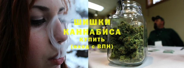 сатива Арсеньев