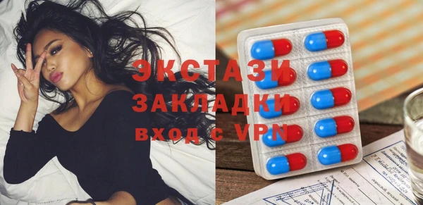 индика Покачи